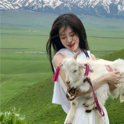 VOICE 110紧急指令室